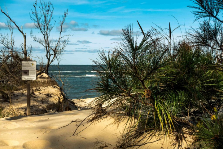 Hiking trail at Kiptopeke State Park