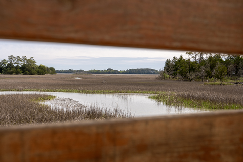 Sand dunes at Savage Neck Dunes Preserve